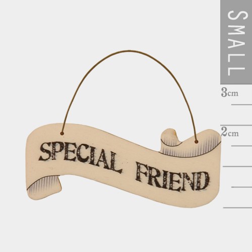 SPECIALFRIENDSMALL