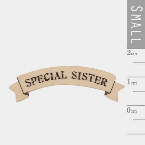 SPECIALSISTERSMALL4