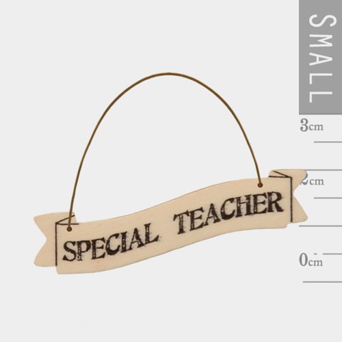 SPECIALTEACHERSMALL