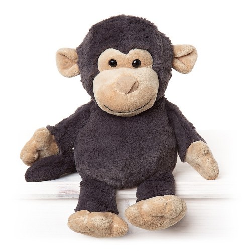 chimp1