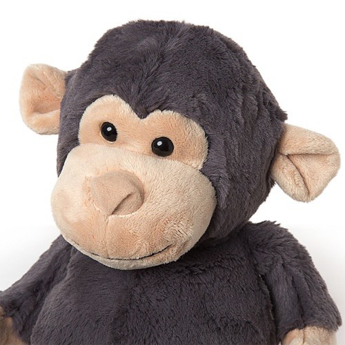 chimp2