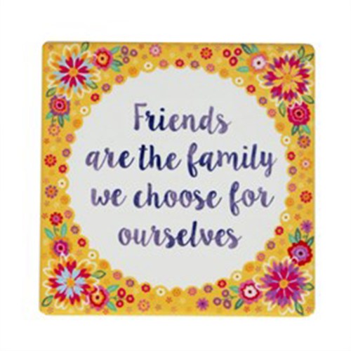 friendsfamilycoaster