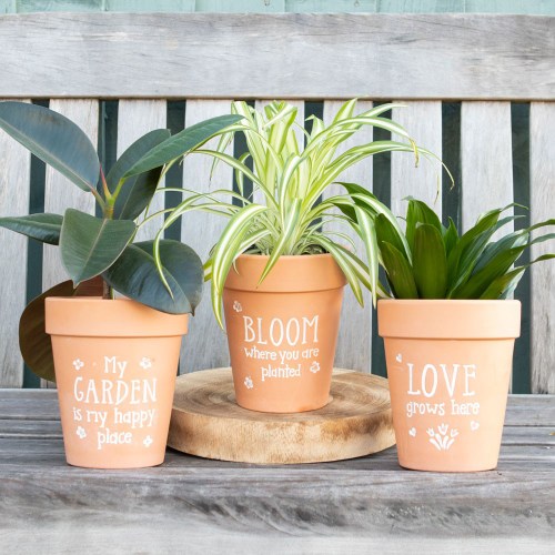 loveplantpot3