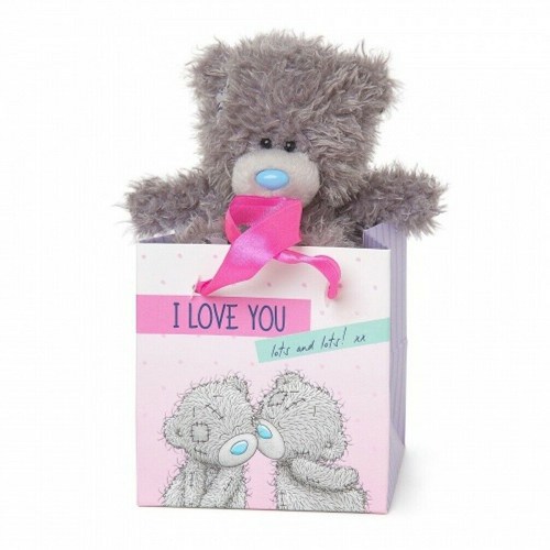 loveyoulotstattyteddybag